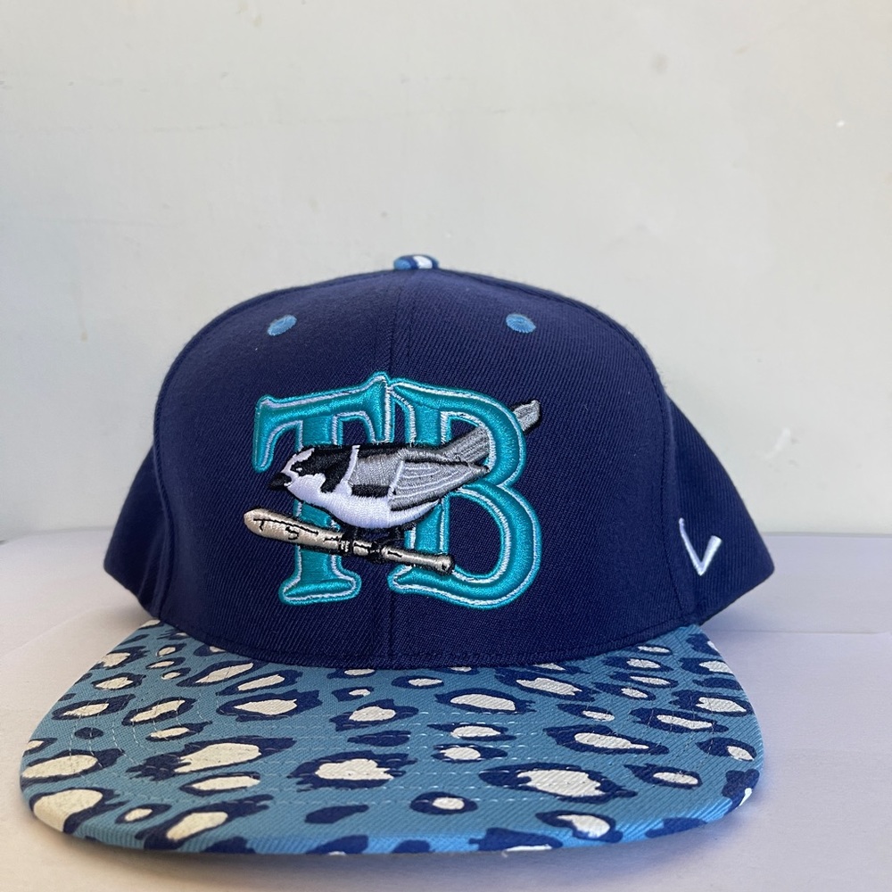 Tampa Bay Rays Baseball hat